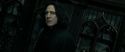 RdM2-Potterish_09348.jpg