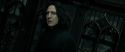 RdM2-Potterish_09349.jpg