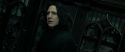 RdM2-Potterish_09350.jpg