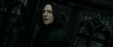 RdM2-Potterish_09351.jpg