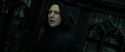 RdM2-Potterish_09352.jpg