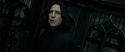 RdM2-Potterish_09353.jpg