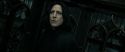 RdM2-Potterish_09354.jpg