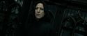 RdM2-Potterish_09355.jpg