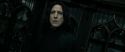 RdM2-Potterish_09356.jpg