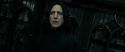 RdM2-Potterish_09357.jpg