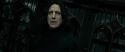 RdM2-Potterish_09358.jpg