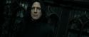 RdM2-Potterish_09359.jpg