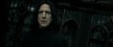 RdM2-Potterish_09360.jpg