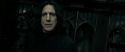RdM2-Potterish_09365.jpg