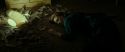 RdM2-Potterish_09404.jpg