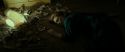 RdM2-Potterish_09405.jpg