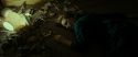 RdM2-Potterish_09408.jpg