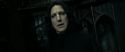 RdM2-Potterish_09419.jpg