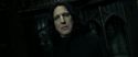 RdM2-Potterish_09421.jpg