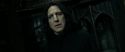 RdM2-Potterish_09422.jpg