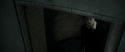RdM2-Potterish_09429.jpg