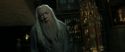 RdM2-Potterish_09439.jpg