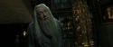 RdM2-Potterish_09441.jpg