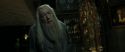 RdM2-Potterish_09447.jpg