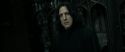 RdM2-Potterish_09449.jpg