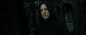 RdM2-Potterish_09451.jpg