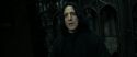 RdM2-Potterish_09453.jpg
