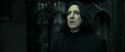 RdM2-Potterish_09472.jpg
