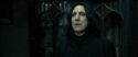 RdM2-Potterish_09474.jpg