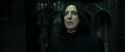 RdM2-Potterish_09475.jpg