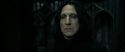 RdM2-Potterish_09498.jpg
