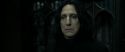 RdM2-Potterish_09500.jpg