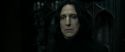 RdM2-Potterish_09501.jpg