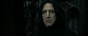 RdM2-Potterish_09502.jpg