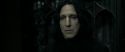 RdM2-Potterish_09504.jpg
