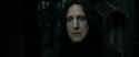 RdM2-Potterish_09505.jpg