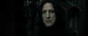RdM2-Potterish_09507.jpg
