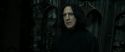 RdM2-Potterish_09542.jpg