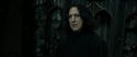 RdM2-Potterish_09543.jpg