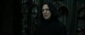 RdM2-Potterish_09545.jpg