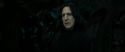RdM2-Potterish_09546.jpg