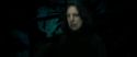 RdM2-Potterish_09547.jpg