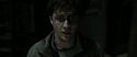 RdM2-Potterish_09561.jpg
