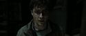 RdM2-Potterish_09562.jpg