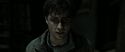 RdM2-Potterish_09564.jpg