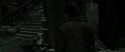RdM2-Potterish_09637.jpg