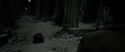 RdM2-Potterish_09653.jpg