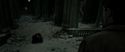 RdM2-Potterish_09654.jpg