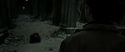 RdM2-Potterish_09656.jpg