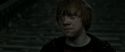 RdM2-Potterish_09781.jpg